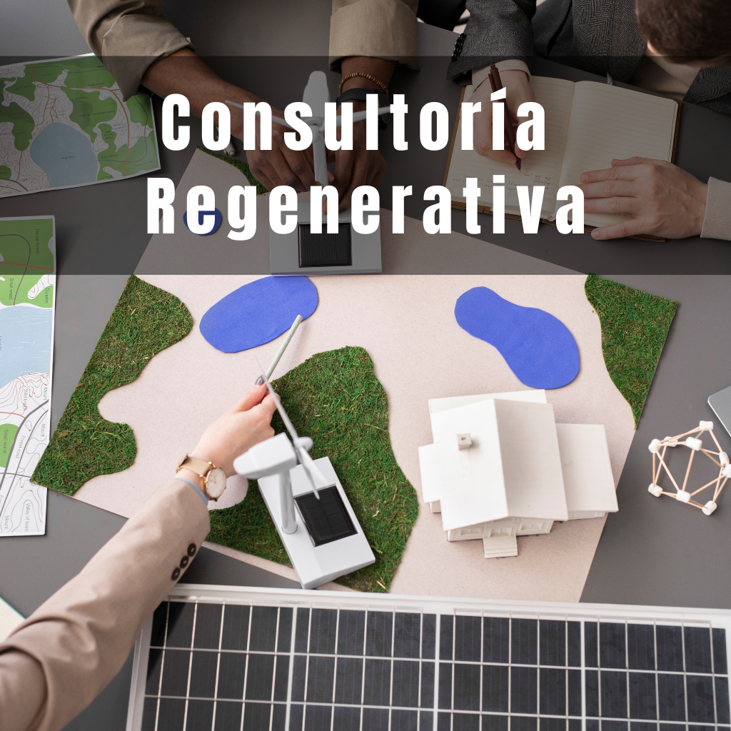 consulturia asesoria turismo desarrollo regenerativo, awaken